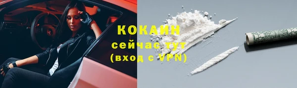 мяу мяу мука Баксан
